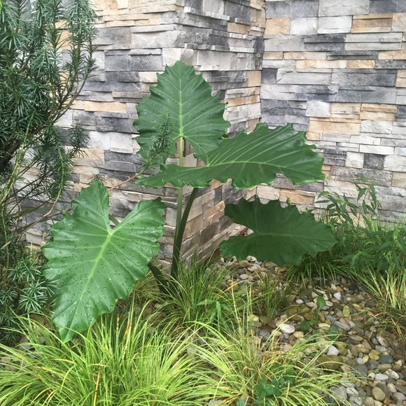 Helping Others Smile! 💥 - Picture 9 of 15